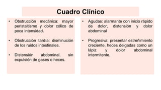 • Obstrucción mecánica: mayor
peristaltismo y dolor cólico de
poca intensidad.
• Obstrucción tardía: disminución
de los ruidos intestinales.
• Distensión abdominal, sin
expulsión de gases o heces.
Cuadro Clínico
• Agudas: alarmante con inicio rápido
de dolor, distensión y dolor
abdominal
• Progresiva: presentar estreñimiento
creciente, heces delgadas como un
lápiz y dolor abdominal
intermitente.
 
