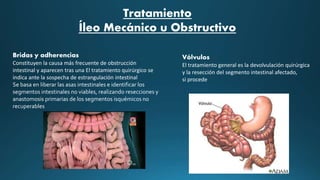 Bridas y adherencias
Constituyen la causa más frecuente de obstrucción
intestinal y aparecen tras una El tratamiento quirúrgico se
indica ante la sospecha de estrangulación intestinal
Se basa en liberar las asas intestinales e identificar los
segmentos intestinales no viables, realizando resecciones y
anastomosis primarias de los segmentos isquémicos no
recuperables
Vólvulos
El tratamiento general es la devolvulación quirúrgica
y la resección del segmento intestinal afectado,
si procede
Tratamiento
Íleo Mecánico u Obstructivo
 