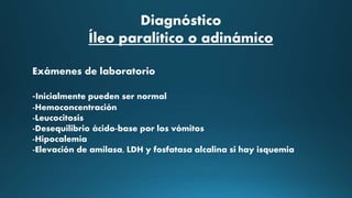 Exámenes de laboratorio
-Inicialmente pueden ser normal
-Hemoconcentración
-Leucocitosis
-Desequilibrio ácido-base por los vómitos
-Hipocalemia
-Elevación de amilasa, LDH y fosfatasa alcalina si hay isquemia
Diagnóstico
Íleo paralítico o adinámico
 