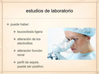 estudios de laboratorio

puede haber:

    leucocitosis ligera

    alteración de los
    electrolitos

    alteración función
    renal

    perfil de sepsis
    puede ser positivo
 