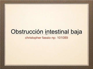 Obstrucción intestinal baja
     christopher fassio np: 101089
 