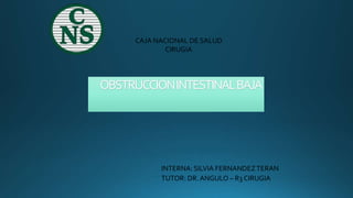 OBSTRUCCIONINTESTINALBAJA
CAJA NACIONAL DE SALUD
CIRUGIA
INTERNA: SILVIA FERNANDEZTERAN
TUTOR: DR. ANGULO – R3 CIRUGIA
 
