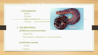 Causas de Obstrucción Intestinal
2-. NO MECÁNICA
a) Defectos neuromusculares
- Megacolon
- Íleo paralítico (abdominal o ca...