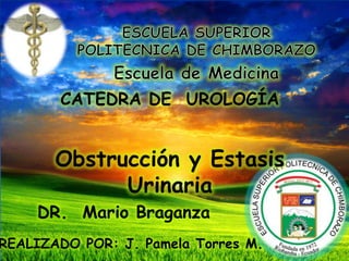 CATEDRA DE UROLOGÍA
Obstrucción y Estasis
Urinaria
DR. Mario Braganza
REALIZADO POR: J. Pamela Torres M.
 