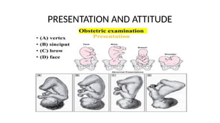PRESENTATION AND ATTITUDE
 