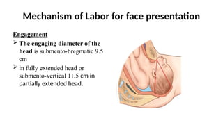 Mechanism of Labor for face presentation
Engagement
 The engaging diameter of the
head is submento-bregmatic 9.5
cm
 in fully extended head or
submento-vertical 11.5 cm in
partially extended head.
 