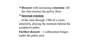 Descent with increasing extension till
the chin touches the pelvic floor.
Internal rotation
of the chin through 1/8th of a circle
anteriorly, placing the mentum behind the
symphysis pubis.
Further descent → submentum hinges
under the pubic arch
 