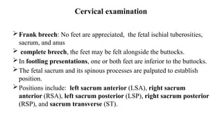 Cervical examination
Frank breech: No feet are appreciated, the fetal ischial tuberosities,
sacrum, and anus
 complete breech, the feet may be felt alongside the buttocks.
In footling presentations, one or both feet are inferior to the buttocks.
The fetal sacrum and its spinous processes are palpated to establish
position.
Positions include: left sacrum anterior (LSA), right sacrum
anterior (RSA), left sacrum posterior (LSP), right sacrum posterior
(RSP), and sacrum transverse (ST).
 