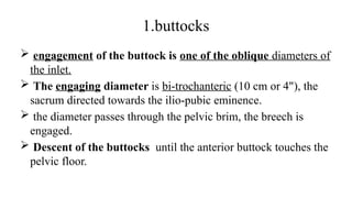 1.buttocks
 engagement of the buttock is one of the oblique diameters of
the inlet.
 The engaging diameter is bi-trochanteric (10 cm or 4"), the
sacrum directed towards the ilio-pubic eminence.
 the diameter passes through the pelvic brim, the breech is
engaged.
 Descent of the buttocks until the anterior buttock touches the
pelvic floor.
 
