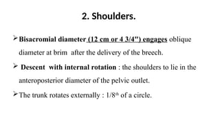 2. Shoulders.
Bisacromial diameter (12 cm or 4 3/4") engages oblique
diameter at brim after the delivery of the breech.
 Descent with internal rotation : the shoulders to lie in the
anteroposterior diameter of the pelvic outlet.
The trunk rotates externally : 1/8th
of a circle.
 