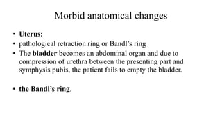 Morbid anatomical changes
• Uterus:
• pathological retraction ring or Bandl’s ring
• The bladder becomes an abdominal organ and due to
compression of urethra between the presenting part and
symphysis pubis, the patient fails to empty the bladder.
• the Bandl’s ring.
 