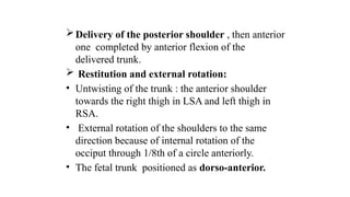 Delivery of the posterior shoulder , then anterior
one completed by anterior flexion of the
delivered trunk.
 Restitution and external rotation:
• Untwisting of the trunk : the anterior shoulder
towards the right thigh in LSA and left thigh in
RSA.
• External rotation of the shoulders to the same
direction because of internal rotation of the
occiput through 1/8th of a circle anteriorly.
• The fetal trunk positioned as dorso-anterior.
 