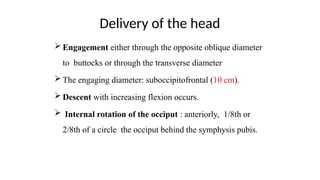 Delivery of the head
 Engagement either through the opposite oblique diameter
to buttocks or through the transverse diameter
 The engaging diameter: suboccipitofrontal (10 cm).
 Descent with increasing flexion occurs.
 Internal rotation of the occiput : anteriorly, 1/8th or
2/8th of a circle the occiput behind the symphysis pubis.
 