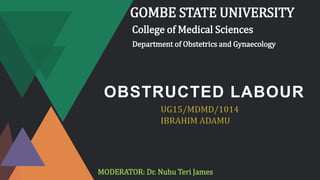 OBSTRUCTED LABOUR
GOMBE STATE UNIVERSITY
College of Medical Sciences
Department of Obstetrics and Gynaecology
MODERATOR: Dr. Nuhu Teri James
 