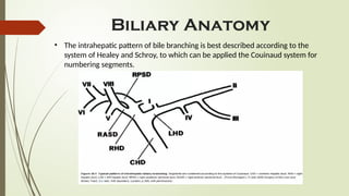 Obstructive Biliopathy.pptx .ppt on obstructive biliopathy | PPTX