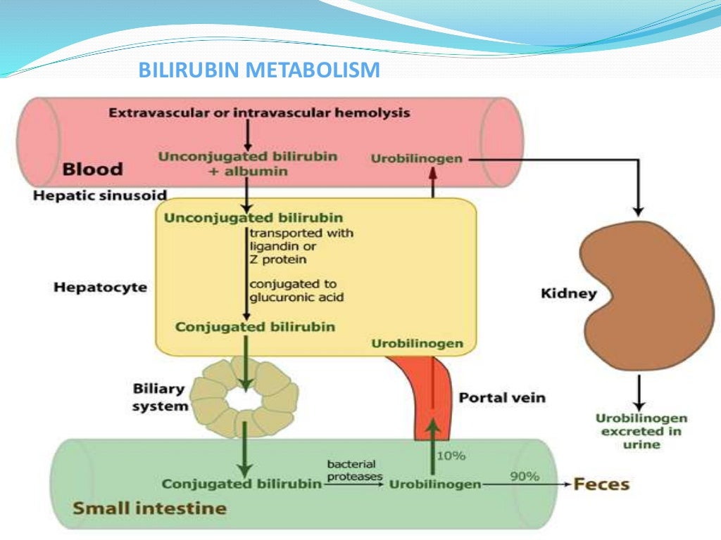 Approach to a case of Obstructive jaundice