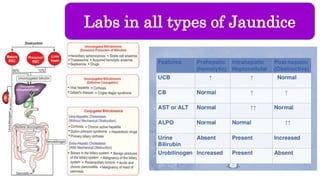 Labs in all types of Jaundice