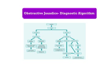 Obstructive Jaundice- Diagnostic Algorithm
 