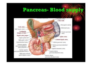Pancreas- Blood supply
 
