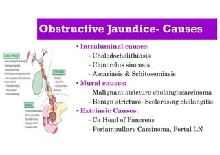 Obstructive Jaundice- Causes
• Intraluminal causes:
- Choledocholithiasis
- Clonorchis sinensis
- Ascariasis & Schitosomiasis
• Mural causes:
- Malignant stricture-cholangiocarcinoma
- Benign stricture- Scelerosing cholangitis
• Extrinsic Causes:
- Ca Head of Pancreas
- Periampullary Carcinoma, Portal LN
 