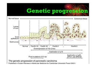 Genetic progression
 