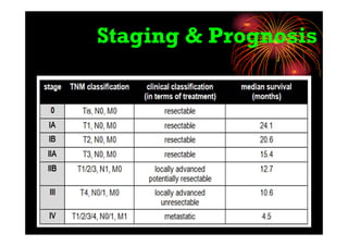 Staging & Prognosis
 
