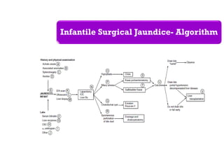 Infantile Surgical Jaundice- Algorithm
 