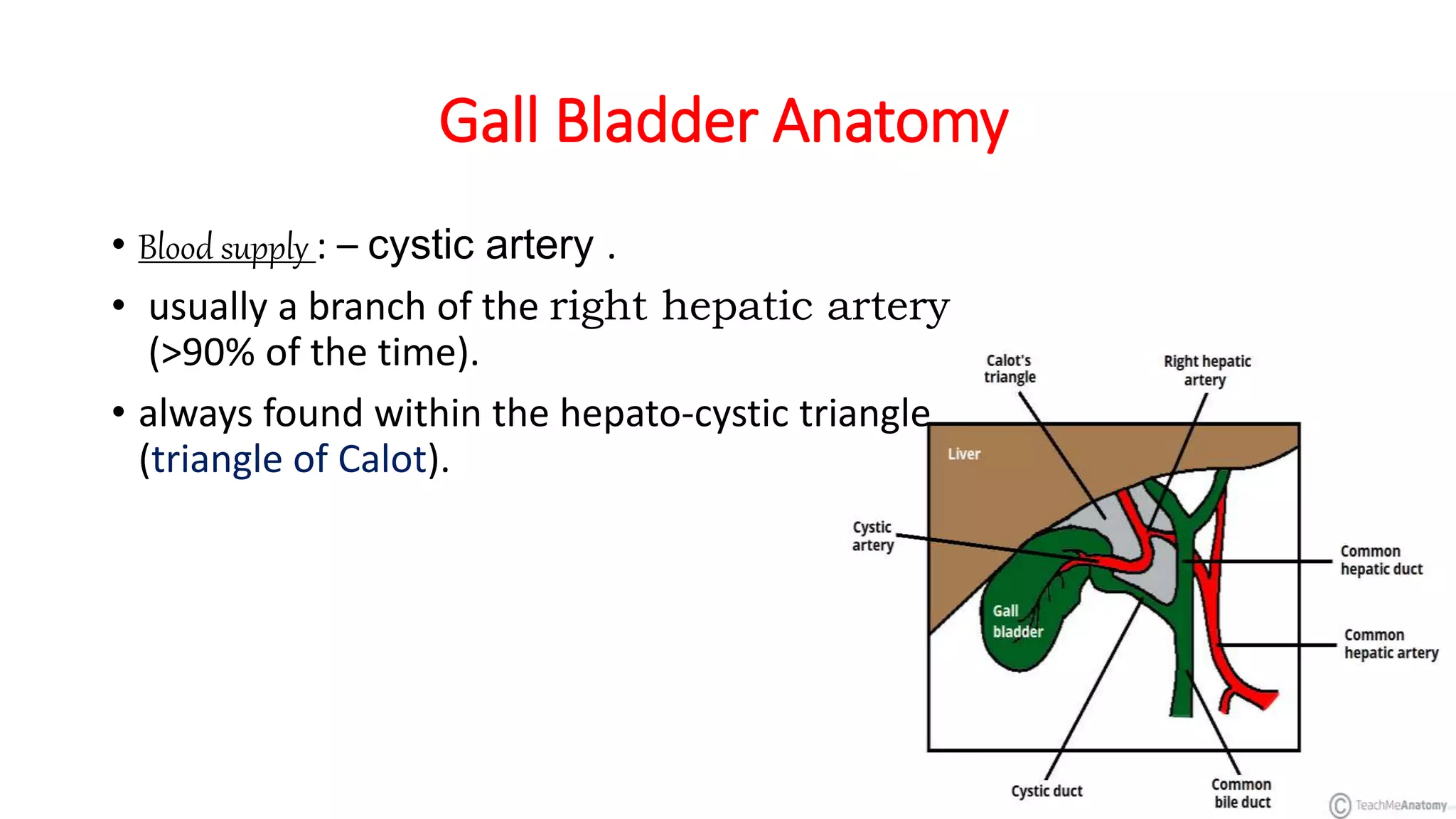 Gall Bladder Anatomy
• Blood supply : – cystic artery .
• usually a branch of the right hepatic artery
(>90% of the time).
• always found within the hepato-cystic triangle
(triangle of Calot).
 