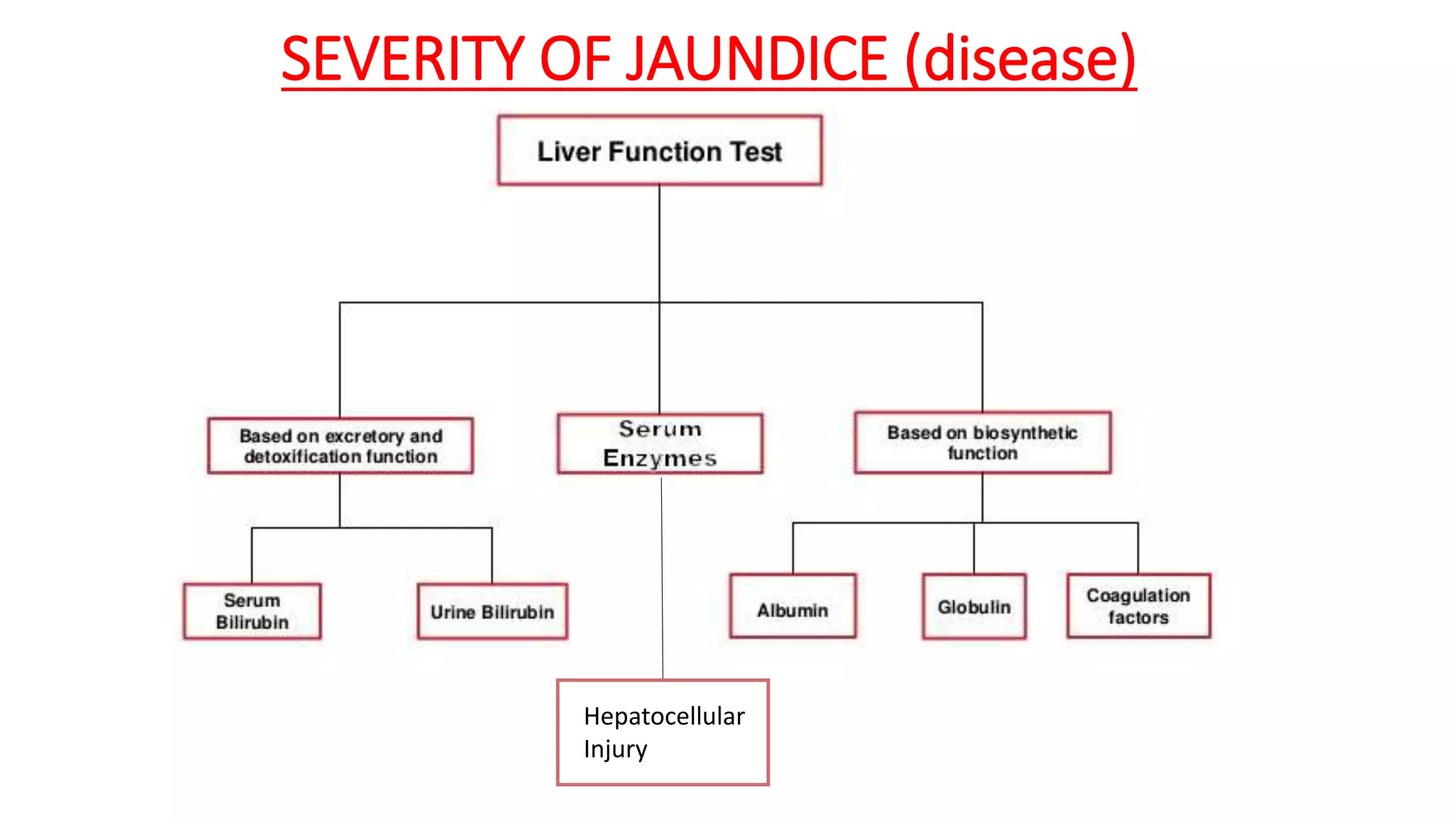 Hepatocellular
Injury
SEVERITY OF JAUNDICE (disease)
 