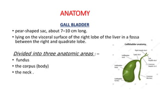 ANATOMY
GALL BLADDER
• pear-shaped sac, about 7–10 cm long.
• lying on the visceral surface of the right lobe of the liver in a fossa
between the right and quadrate lobe.
Divided into three anatomic areas : –
• fundus
• the corpus (body)
• the neck .
 