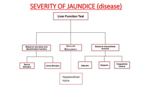 Hepatocellular
Injury
SEVERITY OF JAUNDICE (disease)
 