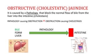OBSTRUCTIVE (CHOLESTATIC) JAUNDICE
It is caused by a Pathology that block the normal flow of bile from the
liver into the intestine.(cholestasis)
PATHOLOGY causing OBSTRUCTION =OBSTRUCTION causing CHOLESTASIS
BILE PATHOLOGY
FORM INTESTINE
LIVER
 