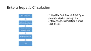 Entero hepatic Circulation
Bile salt in Bile
Jejunum & Ileum it
help in fat Digestion
Reabsorption in
terminal Ileum
Portal Vein Blood
Liver
• Entire Bile Salt Pool of 2.5-4.0gm
circulates twice through the
enterohepatic circulation during
each Meal.
 