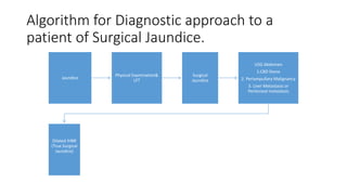 Algorithm for Diagnostic approach to a
patient of Surgical Jaundice.
Jaundice
Physical Examination&
LFT
Surgical
Jaundice
USG Abdomen
1.CBD Stone
2. Periampullary Malignancy
3. Liver Metastasis or
Peritoneal metastasis
Dilated IHBR
(True Surgical
Jaundice)
 