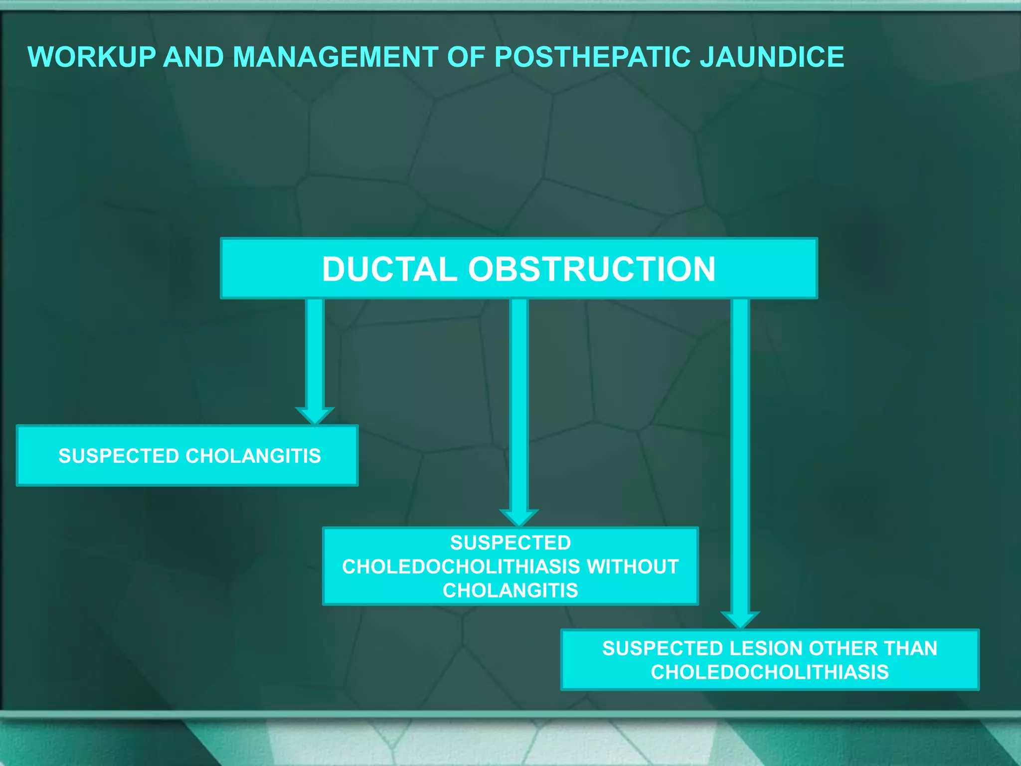 WORKUP AND MANAGEMENT OF POSTHEPATIC JAUNDICE
three possible clinical scenarios:DUCTAL OBSTRUCTION
SUSPECTED CHOLANGITIS
SUSPECTED
CHOLEDOCHOLITHIASIS WITHOUT
CHOLANGITIS
SUSPECTED LESION OTHER THAN
CHOLEDOCHOLITHIASIS
 