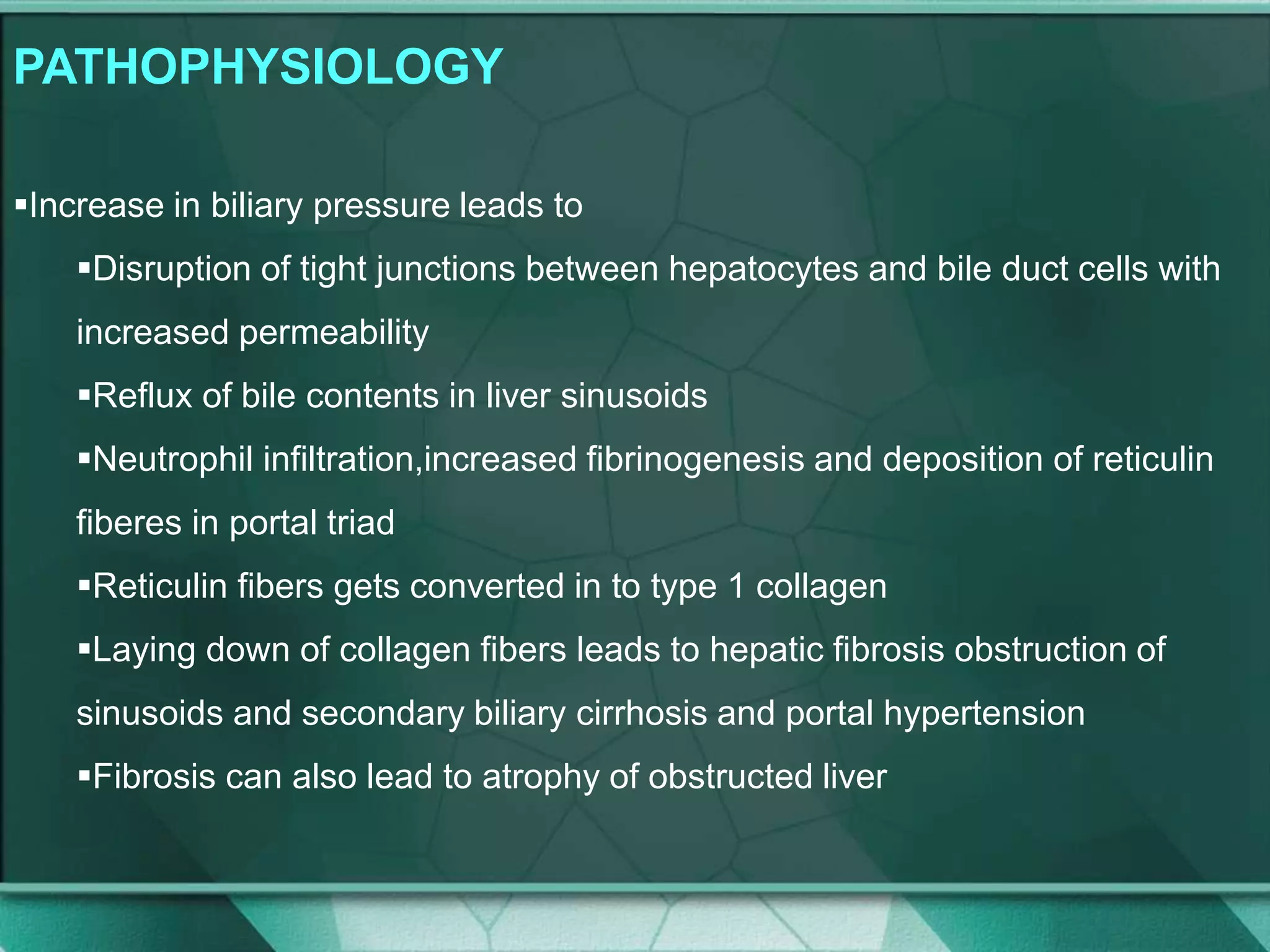 PATHOPHYSIOLOGY
Increase in biliary pressure leads to
Disruption of tight junctions between hepatocytes and bile duct cells with
increased permeability
Reflux of bile contents in liver sinusoids
Neutrophil infiltration,increased fibrinogenesis and deposition of reticulin
fiberes in portal triad
Reticulin fibers gets converted in to type 1 collagen
Laying down of collagen fibers leads to hepatic fibrosis obstruction of
sinusoids and secondary biliary cirrhosis and portal hypertension
Fibrosis can also lead to atrophy of obstructed liver
 