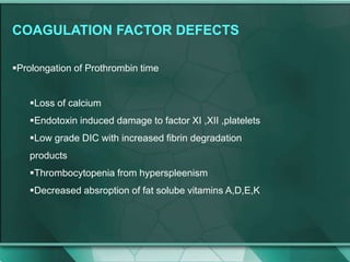 COAGULATION FACTOR DEFECTS
Prolongation of Prothrombin time
Loss of calcium
Endotoxin induced damage to factor XI ,XII ,platelets
Low grade DIC with increased fibrin degradation
products
Thrombocytopenia from hyperspleenism
Decreased absroption of fat solube vitamins A,D,E,K
 
