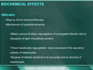 BIOCHEMICAL EFFECTS
Bilirubin
Rise by 25-43 micromol/litre/day
Mechanism of hyperbilirubinemia
Biliary venous & biliary regurgitation of conjugated bilirubin due to
disruption of tight intracellular junction
Trans hepatocytic regurgitation due to reversal of the secretory
polarity of hepatocytes
Rupture of dilated canaliculi in to sinusoids due to necrosis of
hepatocytes
 