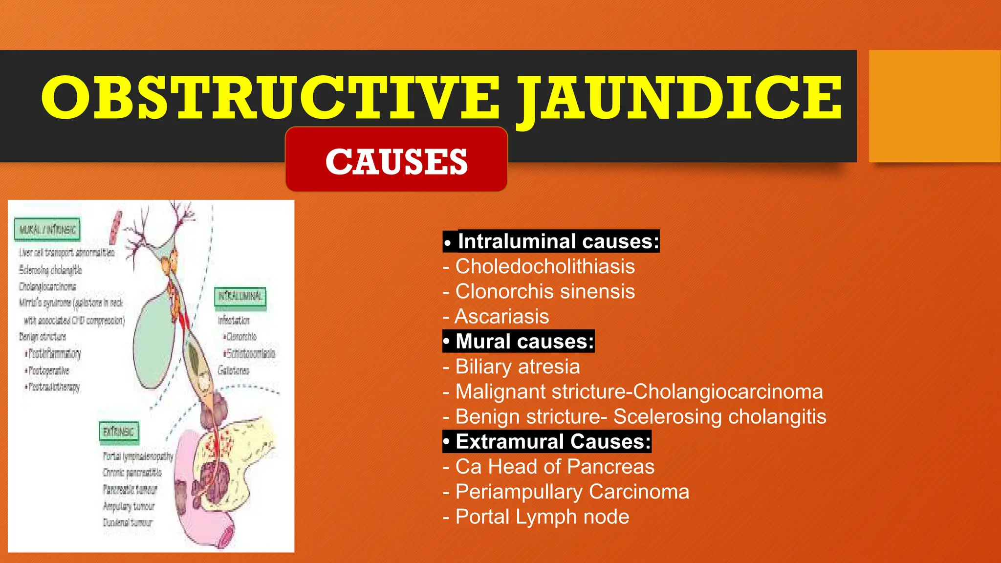 OBSTRUCTIVE JAUNDICE
CAUSES
• Intraluminal causes:
- Choledocholithiasis
- Clonorchis sinensis
- Ascariasis
• Mural causes:
- Biliary atresia
- Malignant stricture-Cholangiocarcinoma
- Benign stricture- Scelerosing cholangitis
• Extramural Causes:
- Ca Head of Pancreas
- Periampullary Carcinoma
- Portal Lymph node
 