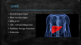 ▪ Second largest organ
▪ Most vascular organ
▪ 30% of CO
▪ 100 – 120 ml/100gm/min
▪ Synthetic, Storage, Excretion
▪ Endocrine
 