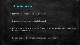 Lipid metabolism
▪ Synthesis & Storage of FA – TGL , VLDL
▪ Synthesis of lipo-proteins & cholesterol
▪ β-Oxidation of FA to Acetyl-CoA  TCA cycle / ketone bodies modulated by
Glucagon and Insulin
▪ Ketone bodies – Important extrahepatic energy source
 