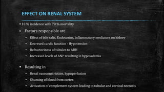  10 % incidence with 70 % mortality
 Factors responsible are
• Effect of bile salts, Endotoxins, inflammatory mediators on kidney
• Decresed cardic function - Hypotension
• Refractoriness of tubules to ADH
• Increased levels of ANP resulting in hypovolemia
 Resulting in
• Renal vasoconstriction, hypoperfusion
• Shunting of blood from cortex
• Activation of complement system leading to tubular and cortical necrosis
EFFECT ON RENAL SYSTEM
 