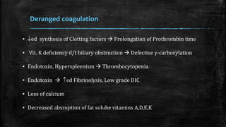 Deranged coagulation
▪ ed synthesis of Clotting factors  Prolongation of Prothrombin time
▪ Vit. K deficiency d/t biliary obstruction  Defective γ-carboxylation
▪ Endotoxin, Hyperspleenism  Thrombocytopenia
▪ Endotoxin  ed Fibrinolysis, Low grade DIC
▪ Loss of calcium
▪ Decreased absroption of fat solube vitamins A,D,E,K
 