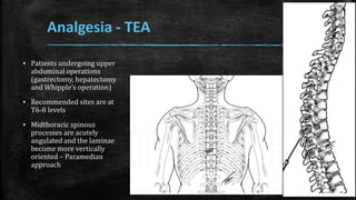 Analgesia - TEA
▪ Patients undergoing upper
abdominal operations
(gastrectomy, hepatectomy
and Whipple’s operation)
▪ Recommended sites are at
T6-8 levels
▪ Midthoracic spinous
processes are acutely
angulated and the laminae
become more vertically
oriented – Paramedian
approach
 