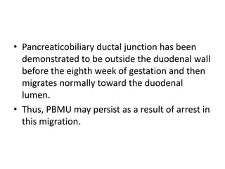 • Pancreaticobiliary ductal junction has been
demonstrated to be outside the duodenal wall
before the eighth week of gestation and then
migrates normally toward the duodenal
lumen.
• Thus, PBMU may persist as a result of arrest in
this migration.
 
