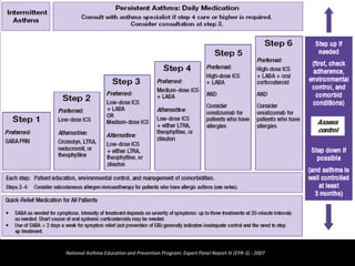 National Asthma Education and Prevention Program: Expert Panel Report III (EPR-3) - 2007
 