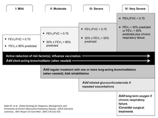 Rabe KF, et al. Global Strategy for Diagnosis, Management, and
Prevention of Chronic Obstructive Pulmonary Disease: GOLD Executive
Summary. AM J Respir Crit Care Med. 2007;176:532-555.
 