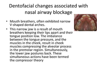 Dentofacial changes associated with
nasal airway blockage
• Mouth breathers, often exhibited narrow
V-shaped dental arches.
• This narrow jaw is a result of mouth
breathers keeping their lips apart and their
tongue position low. The imbalance
between the tongue pressure, and the
muscles in the cheek, result in cheek
muscles compressing the alveolar process
in the premolar region. Simultaneously,
the lower jaw postures back. These
simultaneous actions have been termed
the compressor theory
 