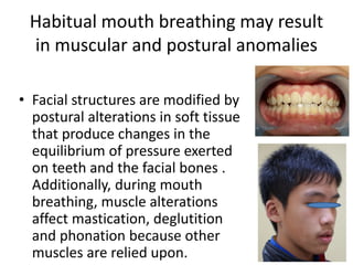 Habitual mouth breathing may result
in muscular and postural anomalies
• Facial structures are modified by
postural alterations in soft tissue
that produce changes in the
equilibrium of pressure exerted
on teeth and the facial bones .
Additionally, during mouth
breathing, muscle alterations
affect mastication, deglutition
and phonation because other
muscles are relied upon.
 
