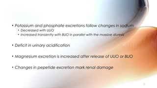 • Potassium and phosphate excretions follow changes in sodium
• Decreased with UUO
• Increased transiently with BUO in parallel with the massive diuresis
• Deficit in urinary acidification
• Magnesium excretion is increased after release of UUO or BUO
• Changes in pepetide excretion mark renal damage
15
 